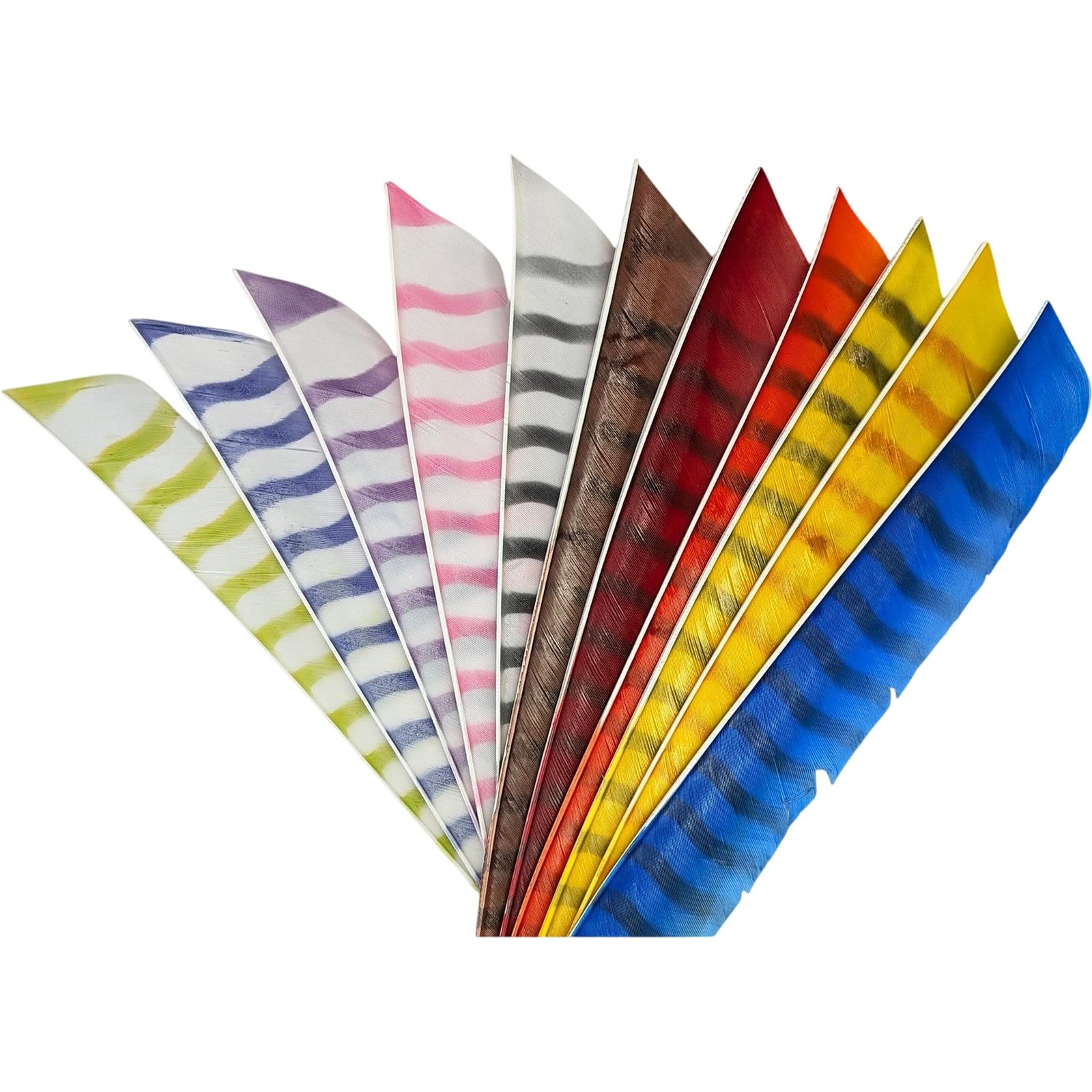 Nijora Federn volle Länge barred – Bild 1